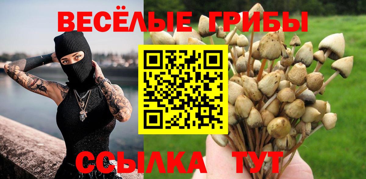 Галлюциногенные грибы Psilocybine cubensis Новошахтинск