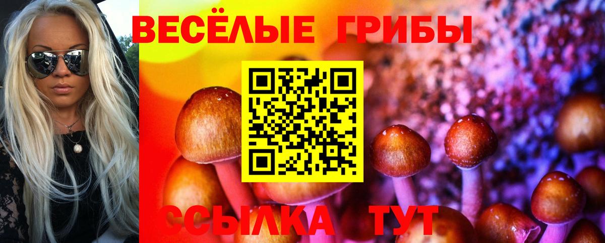 Псилоцибиновые грибы Cubensis  Галлюциногенные грибы Psilocybine cubensis  хочу наркоту  Вход с VPN  Новошахтинск 